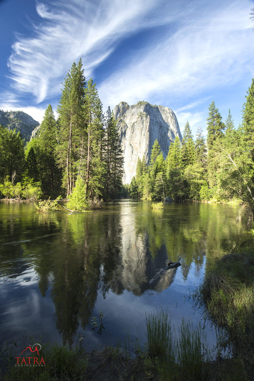 Pondmeadowyosemite